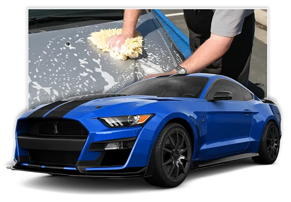 rl-demo-site-image-detail-washing-header-1